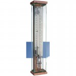 Innovacelli barometer IN581